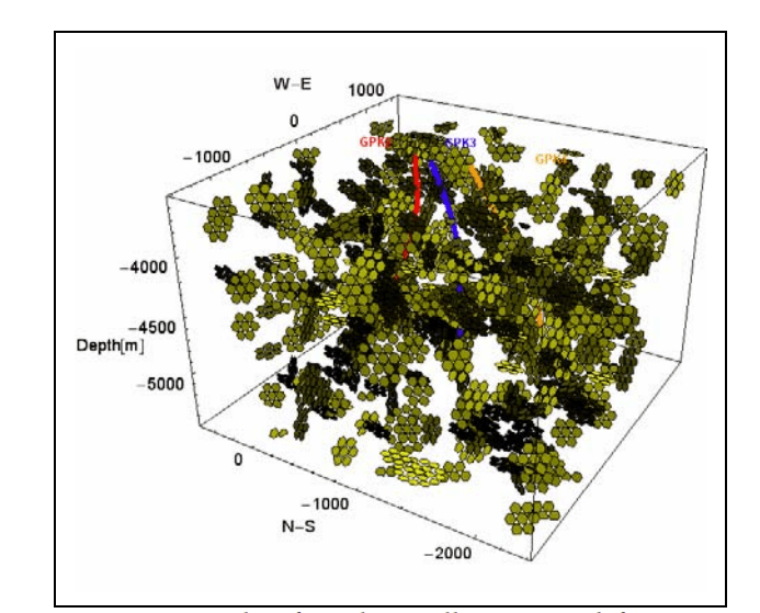Figure 6: Figure from Kohl and Megel (2005). Example of a 3D DFN model.